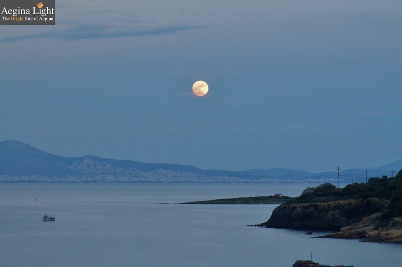 Λειβαδίτης
