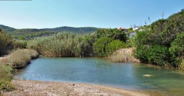 Βαγία υγρότοπος