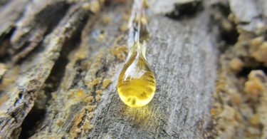 ρετσινάδες Αίγινα